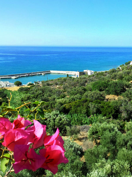 Ankommen, wohlfühlen und entspannen! Das Appartment bietet Ihnen ein extra Schla Keratokampos, Greece Appartment mit Meerblick und Sonnenterrasse Entire guesthouse vacation rental 2801255