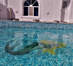 Loukas Kontos Traditional House is a stone-built traditional mansion, built with Emporio, Greece Loukas Kontos Traditional House with swimming pool Entire rental unit vacation rental 37406013