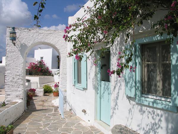 A charming little house full of light, in a beautiful garden with big pine trees  The old wine press Entire guesthouse vacation rental 21133825