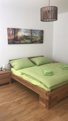 This bright apartment is a great option for a small family and can comfortably s  ⍟King Bed Home+Tv⍟Perfect for groups of 4 Entire rental unit vacation rental 614252122343508359