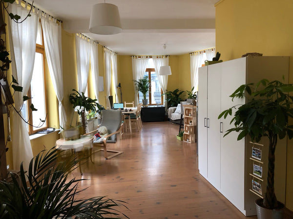 EN Best Sunny, stylish downtown, 10 windows, 4 minutes walk to Grand Place & 6 t Madrid, Spain Sunny Brussels (luminous) & Grand Place (centric) Entire rental unit vacation rental 30441821
