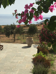 This elegant cycladic house has a beautiful view of the sea, and is surrounded b Paris, France Entire house in stunning spot in Milos Cycladic home vacation rental 36587320