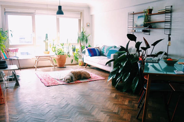 Keep it simple at this peaceful and centrally-located place.<br /><br /><b>The s Ghent, Belgium 1 single bed in shared apt. in the Center of Gent Private room in condo vacation rental 600452064065640609