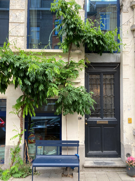 A special home for family in search of a city oasis.<br /><br /><b>The space</b>  Cosy family home to rent longterm Entire home vacation rental 631206586511287395