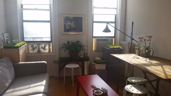 Sunny, spacious bedroom and private study available in a lovely 2-bedroom apartm New York, NY Rental unit in New York · ★5.0 · 1 bedroom · 1 bed · 1 shared bath Private room in rental unit vacation rental 11162475