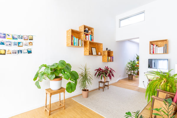 We offer you a bright 'urban jungle' appartment in a dead-end street in a quiet  Antwerp, Belgium Bright apartment in dead-end street, bikes inc. Entire rental unit vacation rental 39292367