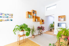 We offer you a bright 'urban jungle' appartment in a dead-end street in a quiet  Antwerp, Belgium Bright apartment in dead-end street, bikes inc. Entire rental unit vacation rental 39292367