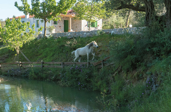Villa in an astonishing  natural landscape of Crete.<br />Villa Elia is a modern Rethimnon, Greece Villa Elia Entire villa vacation rental 43653523