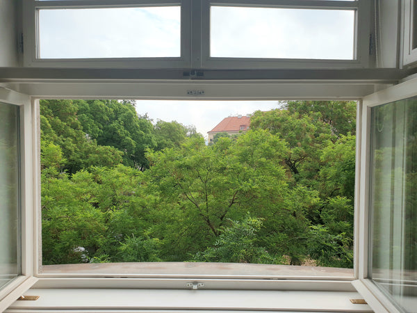 We are ofering our lovely home in times when we are traveling to those who would Prague, Czechia Happy comfy family home for cat and trees lovers Entire condo vacation rental 50221433