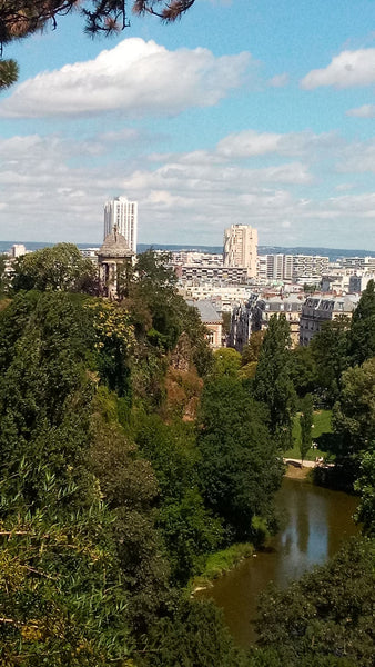 Petit Studio de 14m au 2eme étage à cote du parc Butte-Chaumont, il es très joli Paris, France PETIT Studio à côté du Parc Butte-Chaument. Entire rental unit vacation rental 28856921