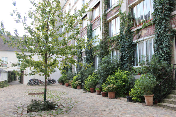 A 50 m2 loft in a charming quiet and paved historical cour near Bastille. Lumino Saint-Cyr-sur-Mer, France Loft under roofs in a charming cour in Bastille Entire loft vacation rental 4316599