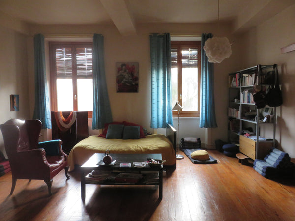 Une grande pièce lumineuse, calme, donnant sur un jardinet, une cuisine équipée, Lyon, France Espace calme, proche du Vieux Lyon Entire rental unit vacation rental 9467750