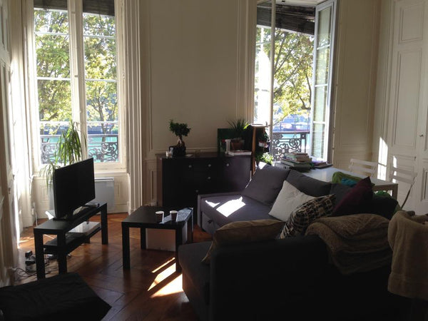 En plein centre, sur la presque-île Lyonnaise, idéal pour les fêtes des Lumières Lyon, France Appartmt Haussmanien, sur les quais Entire rental unit vacation rental 8770055