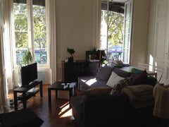 En plein centre, sur la presque-île Lyonnaise, idéal pour les fêtes des Lumières Lyon, France Appartmt Haussmanien, sur les quais Entire rental unit vacation rental 8770055