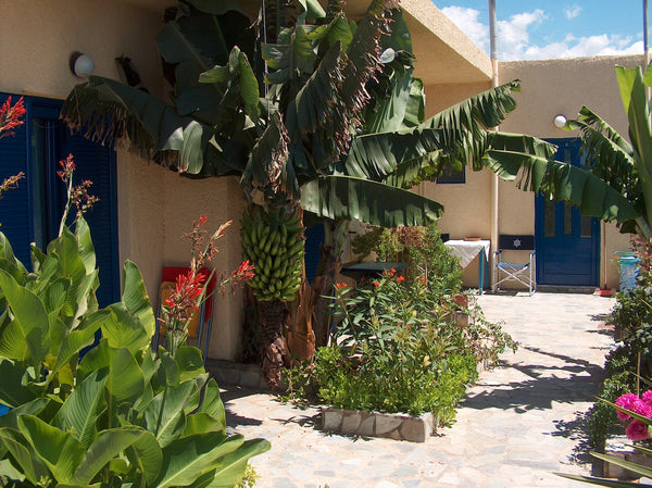 Porto Kastri Studios & Apartments is located in the area of Kastri, Keratokambos Kastri, Greece Porto Kastri Studios & Apartments Private room in rental unit vacation rental 20752204
