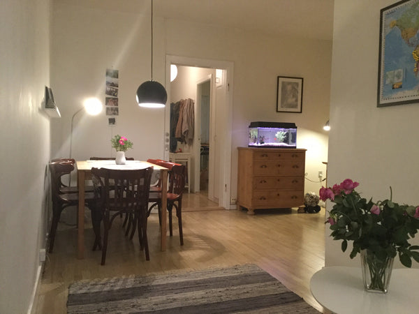 A nice little apartment in the middle of Nørrebro. A small bedroom for 2 people. Seville, Spain Cozy apartment in the heart of Nørrebro Entire rental unit vacation rental 40650525