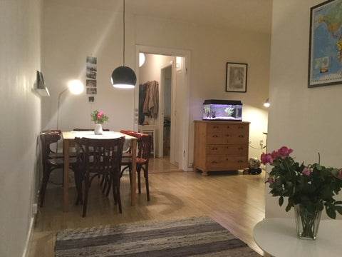 A nice little apartment in the middle of Nørrebro. A small bedroom for 2 people. Seville, Spain Cozy apartment in the heart of Nørrebro Entire rental unit vacation rental 40650525