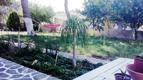 A lovely house 5 min..walk from the wonderful sandy beach of Marmari in Kos, bea Greece House Under the Pines next  to the sea Entire home vacation rental 12843674