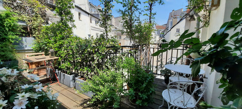 Au cœur du quartier Saint Germain et de la Monnaie,rue Mazarine, superbe apparte Paris, France Superbe appartement avec terrasse,St Germain des P Entire rental unit vacation rental 6130116