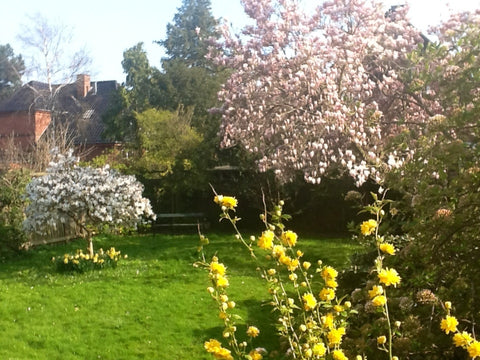 <b>The space</b><br />Centrally located in wonderful Copenhagen- unique surround Copenhagen, Denmark Centrally located Townhouse,Copenha Entire home vacation rental 1097018