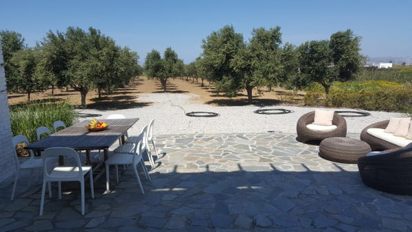 Welcome to the St. George. A three bedroom, 2 bathroom villa, located 500 meters Toronto, Canada The Saint George -- Villa Amongst the Olive Groves Entire villa vacation rental 33136585