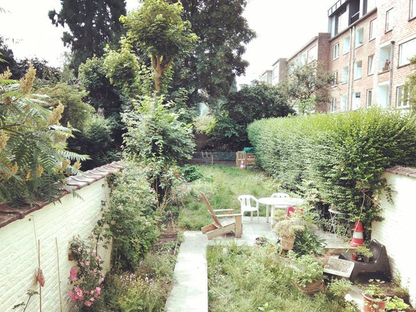 Maison sur trois étages avec jardin. Nous sommes 5 personnes, agées entre 28 et  Granada, Spain Chambre maison avec jardin Private room in home vacation rental 35754750