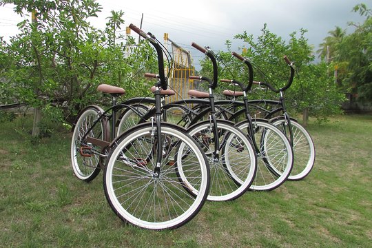 Caiçara Bike Tour + GoPro Photos  Private Tours and Travel Guide America Maceio CITY Maceio Destination Tour