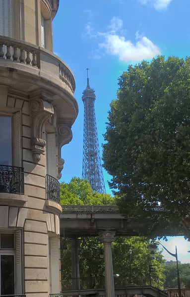 Vue Tour Eiffel, à 10 mètres du pont Bir Hakeim et à 50 mètres de la station de  Paris, France Eiffel Tower view - refurbished charming & cosy Entire rental unit vacation rental 19741324