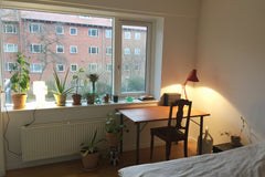 Cosy and clean room in Nordvest Copenhagen. Nice and quite areal. Very easy to g Copenhagen, Denmark Cosy and clean room in NV Private room in condo vacation rental 31372662
