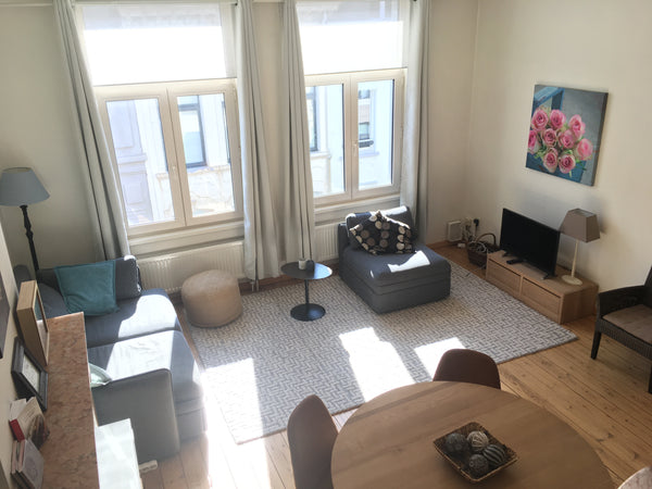 Beautiful newly renovated spacious appartement with a lot of light (2014) in the Antwerp, Belgium Charming apartment in Antwerp centre Entire rental unit vacation rental 28379011