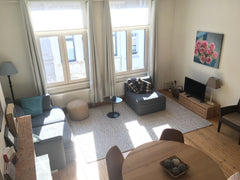 Beautiful newly renovated spacious appartement with a lot of light (2014) in the Antwerp, Belgium Charming apartment in Antwerp centre Entire rental unit vacation rental 28379011