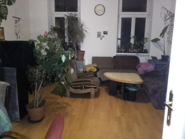 Very lovley&nice appartment with a lot of plants and imagery. You will feel welc  very lovley appartment - feel at home right away! Entire rental unit vacation rental 41514264