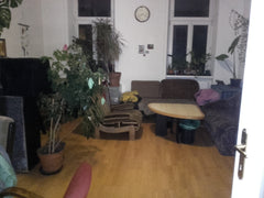 Very lovley&nice appartment with a lot of plants and imagery. You will feel welc  very lovley appartment - feel at home right away! Entire rental unit vacation rental 41514264