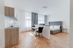 Comfortable and spacious apartment with big windows and a lot of natural light.  Prague, Czechia G'OLD ART Studio Deluxe Entire rental unit vacation rental 34149535