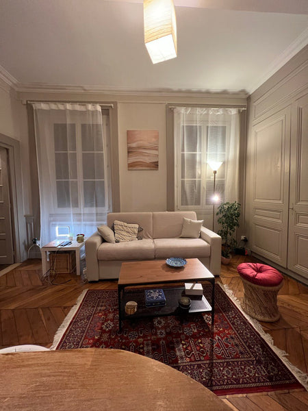 Comfortable apartment of 50 m² with one bedroom in a  quiet building.<br />locat Lyon, France Charming in the heart of Lyon Entire rental unit vacation rental 764946576260999983