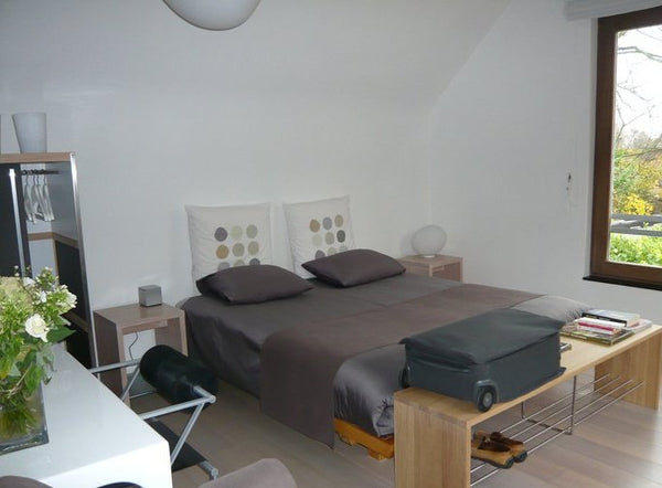 Beautifull calm luminous room, with private barthroom, and terrace, by the side  Brussels, Belgium Bed and Breakfast , urban in green Private room in home vacation rental 4661835