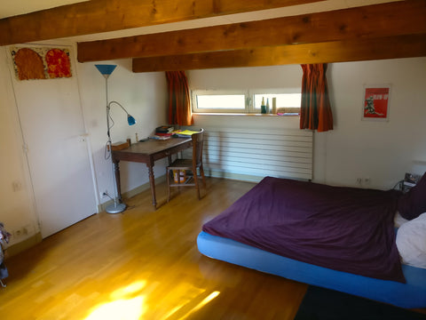 Belle chambre de 18 m2 situé au deuxième étage d’une maison privée et préservée. Paris, France Spacious bedroom in a hidden house with terrasse Private room in home vacation rental 19692518