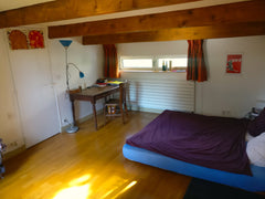 Belle chambre de 18 m2 situé au deuxième étage d’une maison privée et préservée. Paris, France Spacious bedroom in a hidden house with terrasse Private room in home vacation rental 19692518