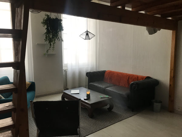 Bienvenue dans le 6eme arrondissement, proche de la gare Part dieu (à 10minutes  Solaize, France Appartement style ancien Private room in rental unit vacation rental 22079362