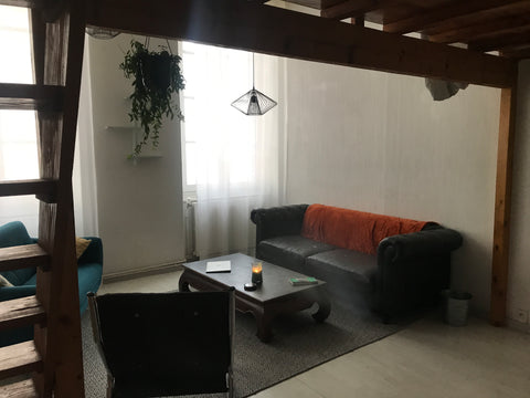 Bienvenue dans le 6eme arrondissement, proche de la gare Part dieu (à 10minutes  Solaize, France Appartement style ancien Private room in rental unit vacation rental 22079362