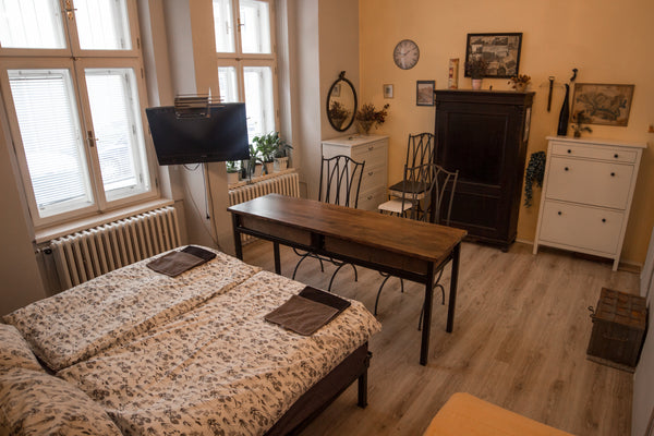 My apartment is in the vicinity of Charles Square (Karlovo náměstí) and Wencesla Prague, Czechia Central apartment nearby the New Town Hall Entire guest suite vacation rental 16623886