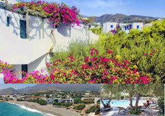 1 Bdrm 1 Bth Apartment. This small family-run resort is celebrated for cultural  Makry Gialos, Greece Private 1 Bdrm apt-50m to beach /Resort Amenities Entire rental unit vacation rental 32664975