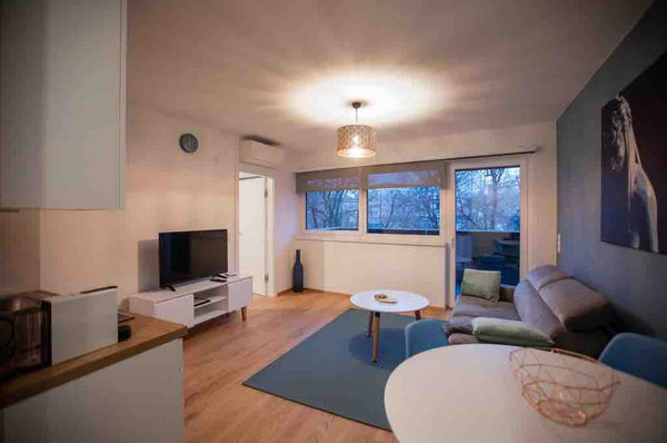 The apartment has a spacious living room with a kitchen, one bedroom, a bathroom  New Apartment Top 10 Entire rental unit vacation rental 583278572645036809