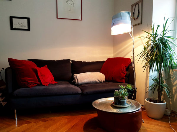 Vienna, Austria Wunderschöne 1-Zimmer Wohnung im Herzen von Wien. Entire rental unit vacation rental 40852025