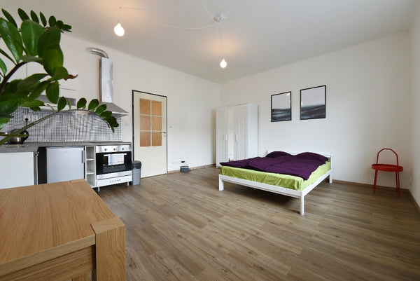 Newly renovated, light and comfortable apartment near metro station Vyšehrad (li Prague, Czechia METRO 5min, COMFORTABLE, NEWLY RENOVATED&BEAUTIFUL Entire rental unit vacation rental 37353876