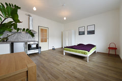 Newly renovated, light and comfortable apartment near metro station Vyšehrad (li Prague, Czechia METRO 5min, COMFORTABLE, NEWLY RENOVATED&BEAUTIFUL Entire rental unit vacation rental 37353876