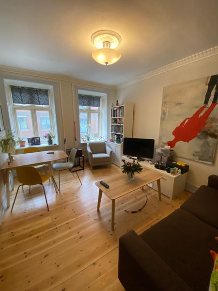 According to Travel Out magazine, Nørrebro is the coolest neighborhood in the wo Copenhagen, Denmark Amazing cozy Nørrebro apartment near the lakes! Entire condo vacation rental 643423912964924669