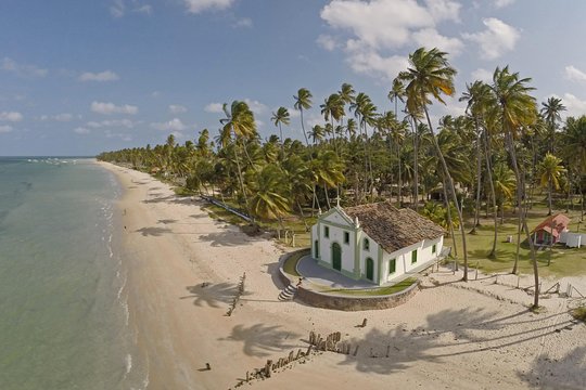 Carneiros Beach Tour from Maragogi with Costazul Turismo  Private Tours and Travel Guide America Maceio CITY Maragogi Destination Tour