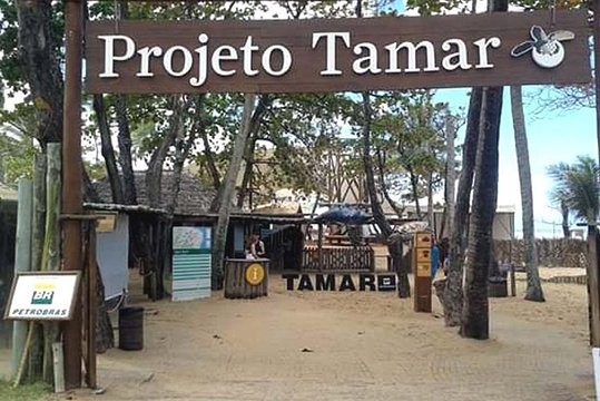 Fort Beach Tour and Tamar Project  Private Tours and Travel Guide America Bahia CITY Salvador da Bahia Destination Tour