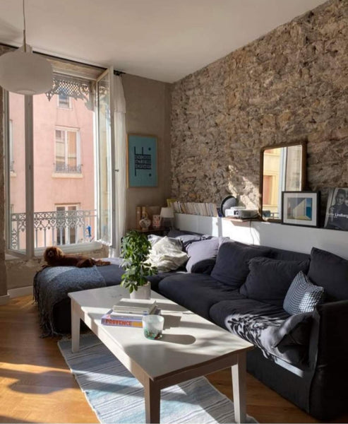Venez passer un agréable weekend dans notre bel appartement situé au cœur de Lyo Clermont-Ferrand, France Superbe appartement lumineux - plein coeur de Lyon Entire rental unit vacation rental 743849761189939850